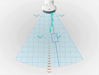 shear wave