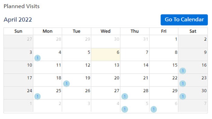 Calendar with planned visits section