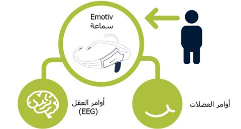 المستخدم يرسل أوامر موجّهة إلى الدماغ