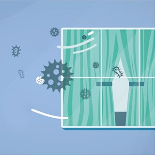 Bacteria & viruses